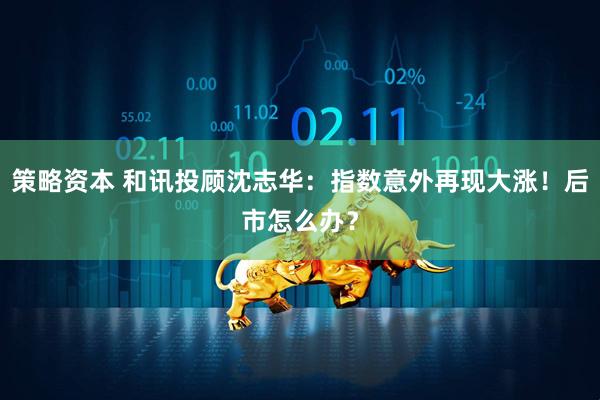策略资本 和讯投顾沈志华：指数意外再现大涨！后市怎么办？