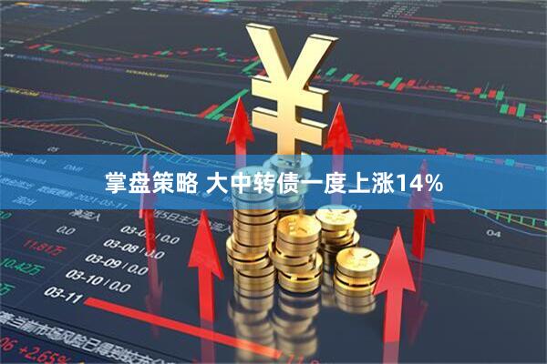 掌盘策略 大中转债一度上涨14%